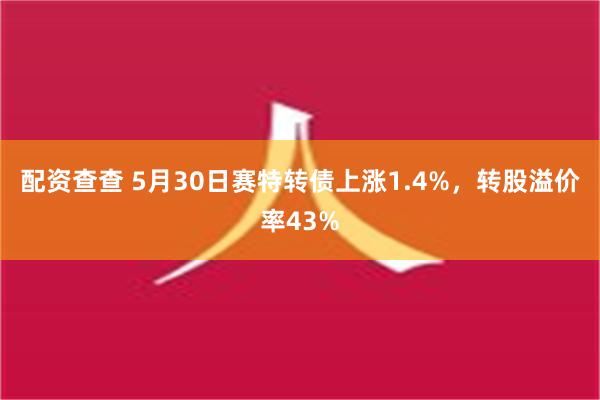 配资查查 5月30日赛特转债上涨1.4%，转股溢价率43%