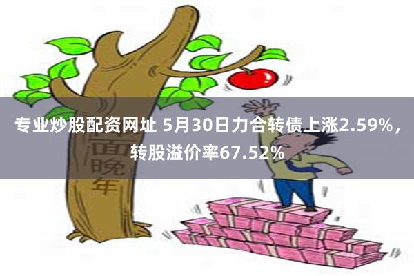 专业炒股配资网址 5月30日力合转债上涨2.59%，转股溢价率67.52%