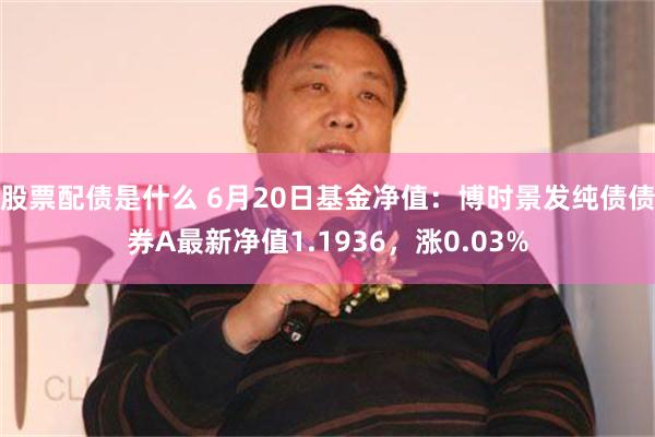 股票配债是什么 6月20日基金净值：博时景发纯债债券A最新净值1.1936，涨0.03%