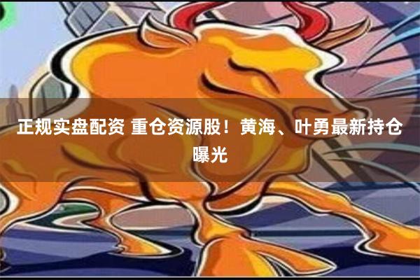 正规实盘配资 重仓资源股！黄海、叶勇最新持仓曝光