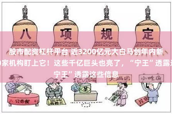 股市配资杠杆平台 近3200亿元大白马创年内新低，280家机构盯上它！这些千亿巨头也亮了，“宁王”透露这些信息