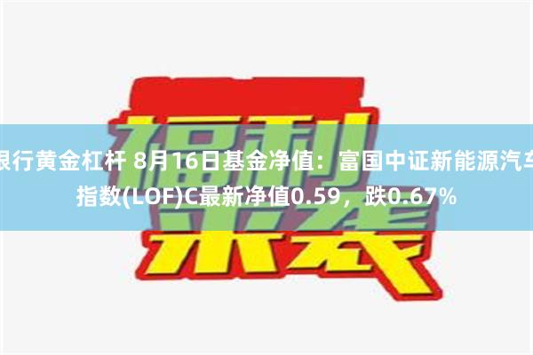 银行黄金杠杆 8月16日基金净值：富国中证新能源汽车指数(LOF)C最新净值0.59，跌0.67%