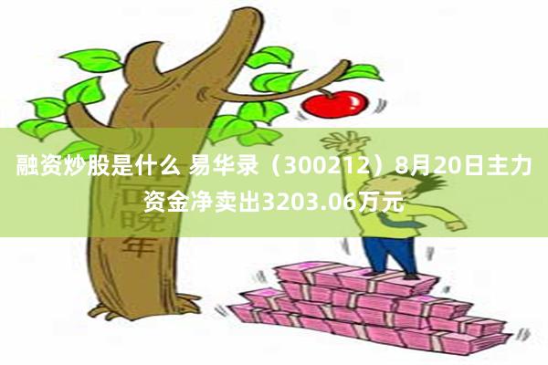 融资炒股是什么 易华录（300212）8月20日主力资金净卖出3203.06万元