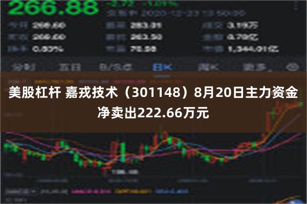 美股杠杆 嘉戎技术（301148）8月20日主力资金净卖出222.66万元