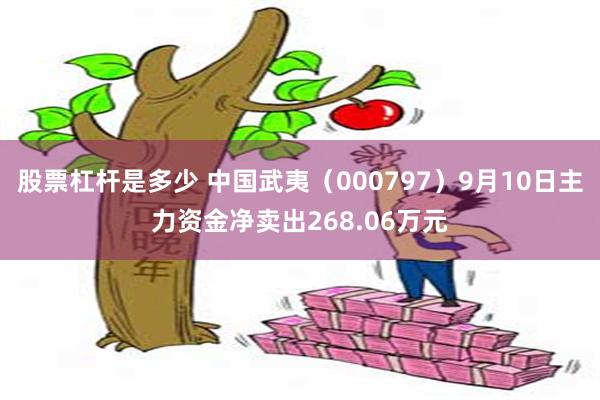 股票杠杆是多少 中国武夷（000797）9月10日主力资金净卖出268.06万元