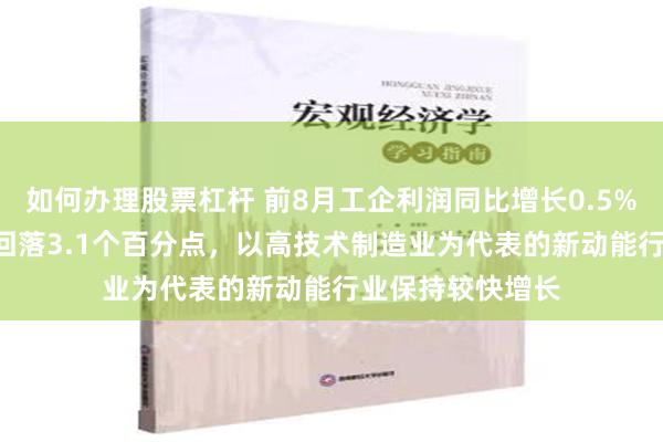 如何办理股票杠杆 前8月工企利润同比增长0.5%，增速较1-7月回落3.1个百分点，以高技术制造业为代表的新动能行业保持较快增长