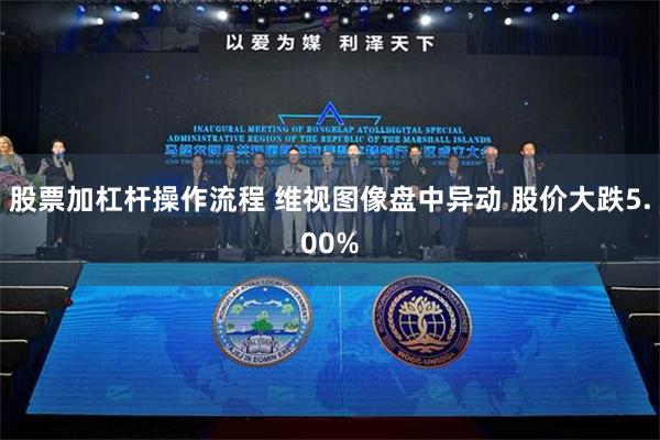 股票加杠杆操作流程 维视图像盘中异动 股价大跌5.00%