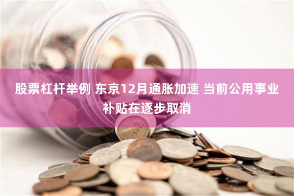 股票杠杆举例 东京12月通胀加速 当前公用事业补贴在逐步取消