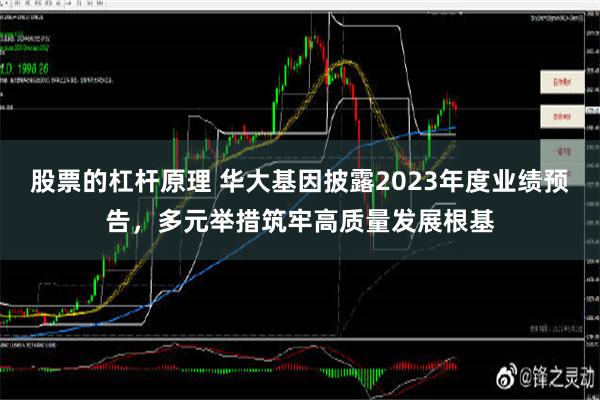 股票的杠杆原理 华大基因披露2023年度业绩预告，多元举措筑牢高质量发展根基