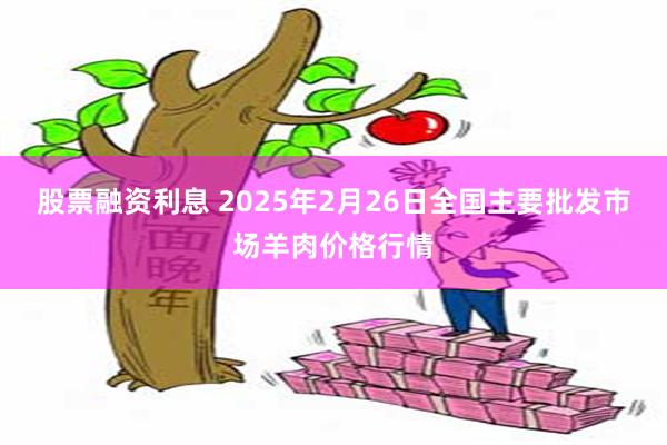 股票融资利息 2025年2月26日全国主要批发市场羊肉价格行情